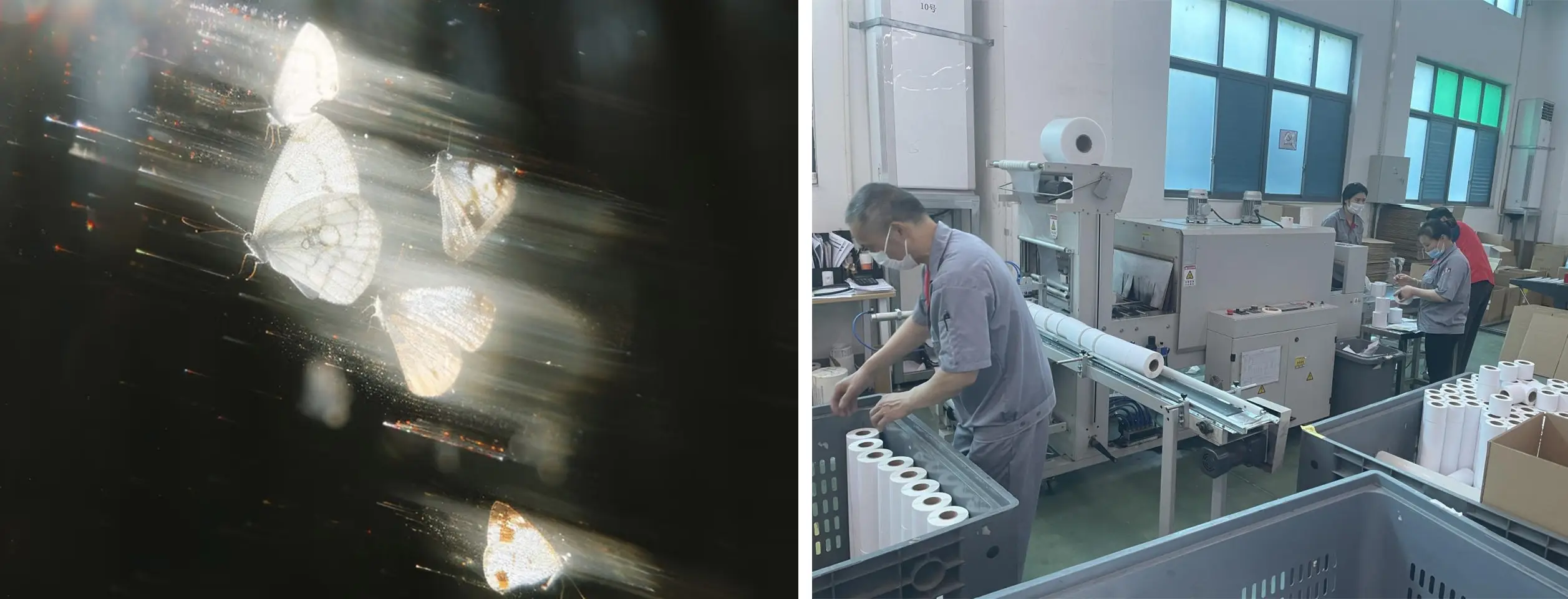 pecialized, Refined, Distinctive, and Innovative s