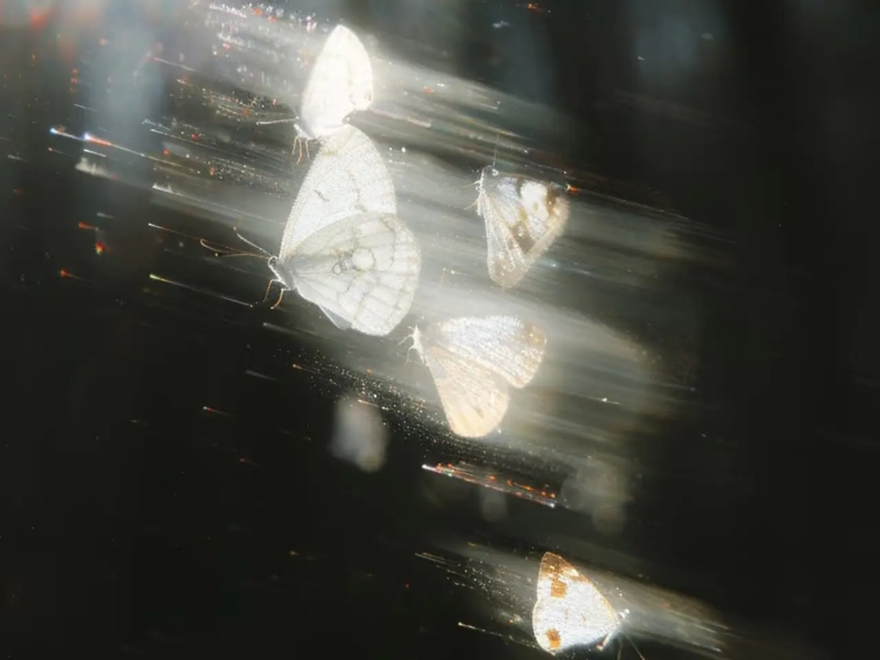 Breaking Through Adversity: SY Printing's Six-Year Transformation from Pandemic Crisis to E-Commerce Leadership